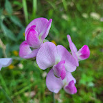 Photo n° 4 de l'avis de Franck.H fait le 13/08/2023 à 17:36 pour Ô Saveur de l'Instant à Saint-Usuge