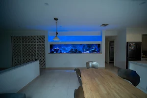 Starfire Aquatics Custom Built Aquariums Melbourne image