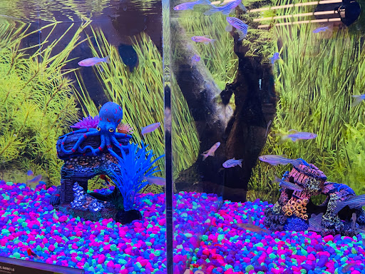 Pet Supply Store «PetSmart», reviews and photos, 310 NJ-36, West Long Branch, NJ 07764, USA