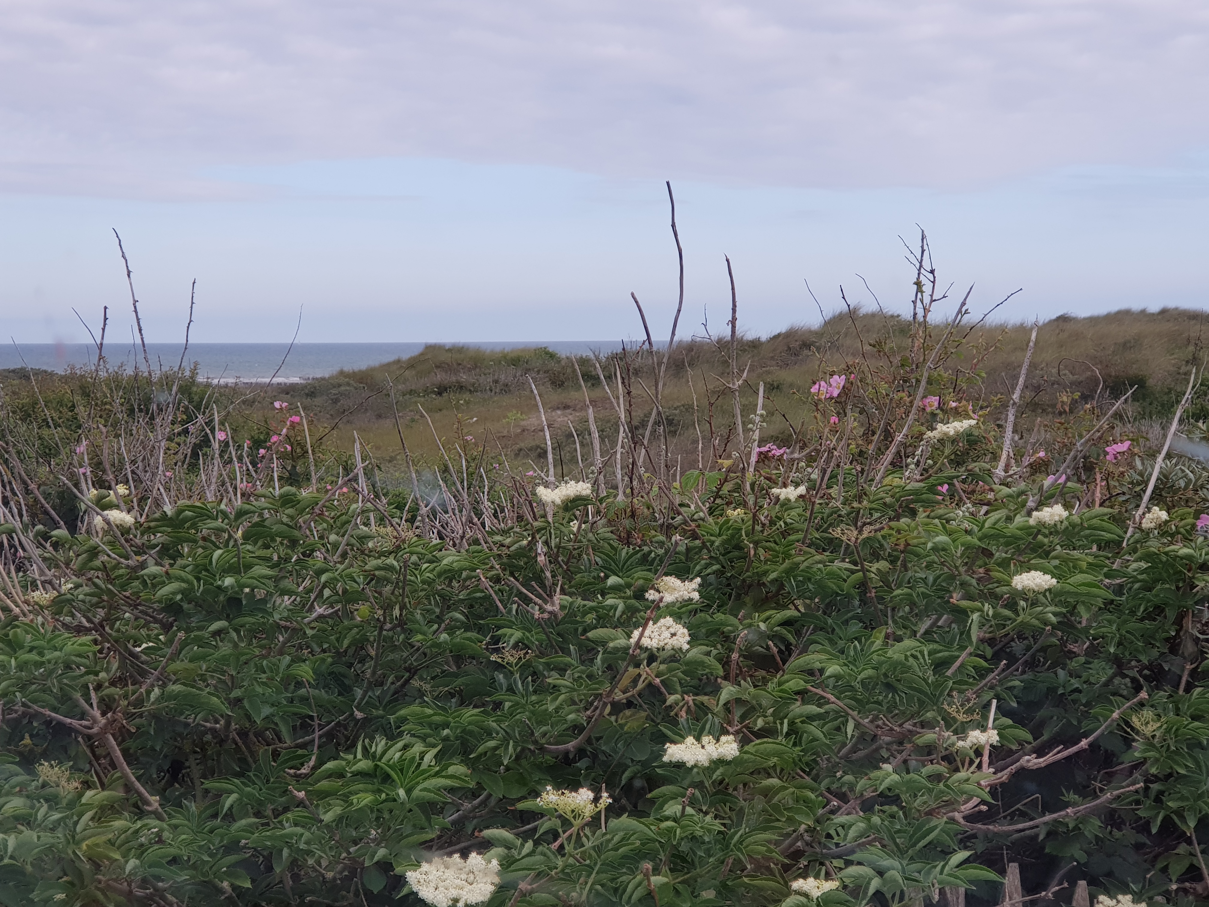 Photo n° 3 de l'avis de Jana.r fait le 12/08/2019 à 12:54