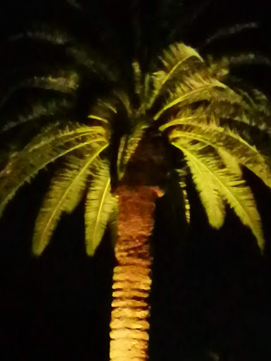 Golf Shop «Loxahatchee Club-Golf Shop», reviews and photos, 1350 Echo Dr, Jupiter, FL 33458, USA