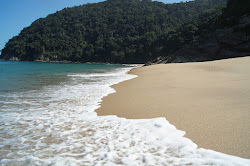 Photo de Plage Brava situé dans une zone naturelle