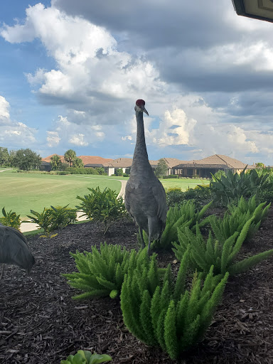 Golf Course «Esplanade Golf and Country Club at Lakewood Ranch», reviews and photos, 12825 Malachite Dr, Lakewood Ranch, FL 34211, USA