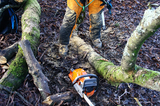 Arborist Direct Glasgow