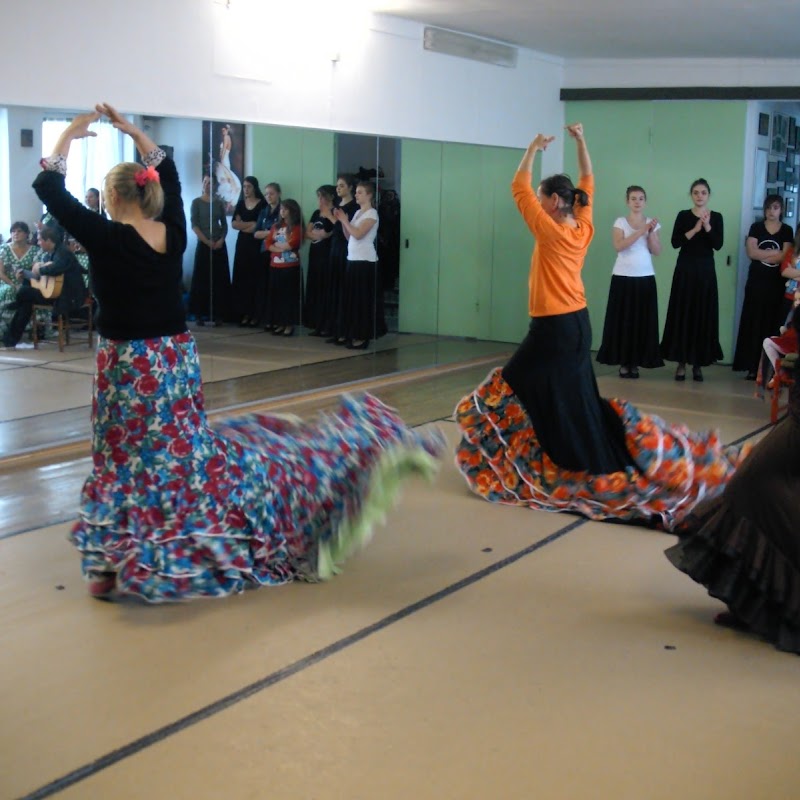 Flamenco Tanz Schule "La Marivi "