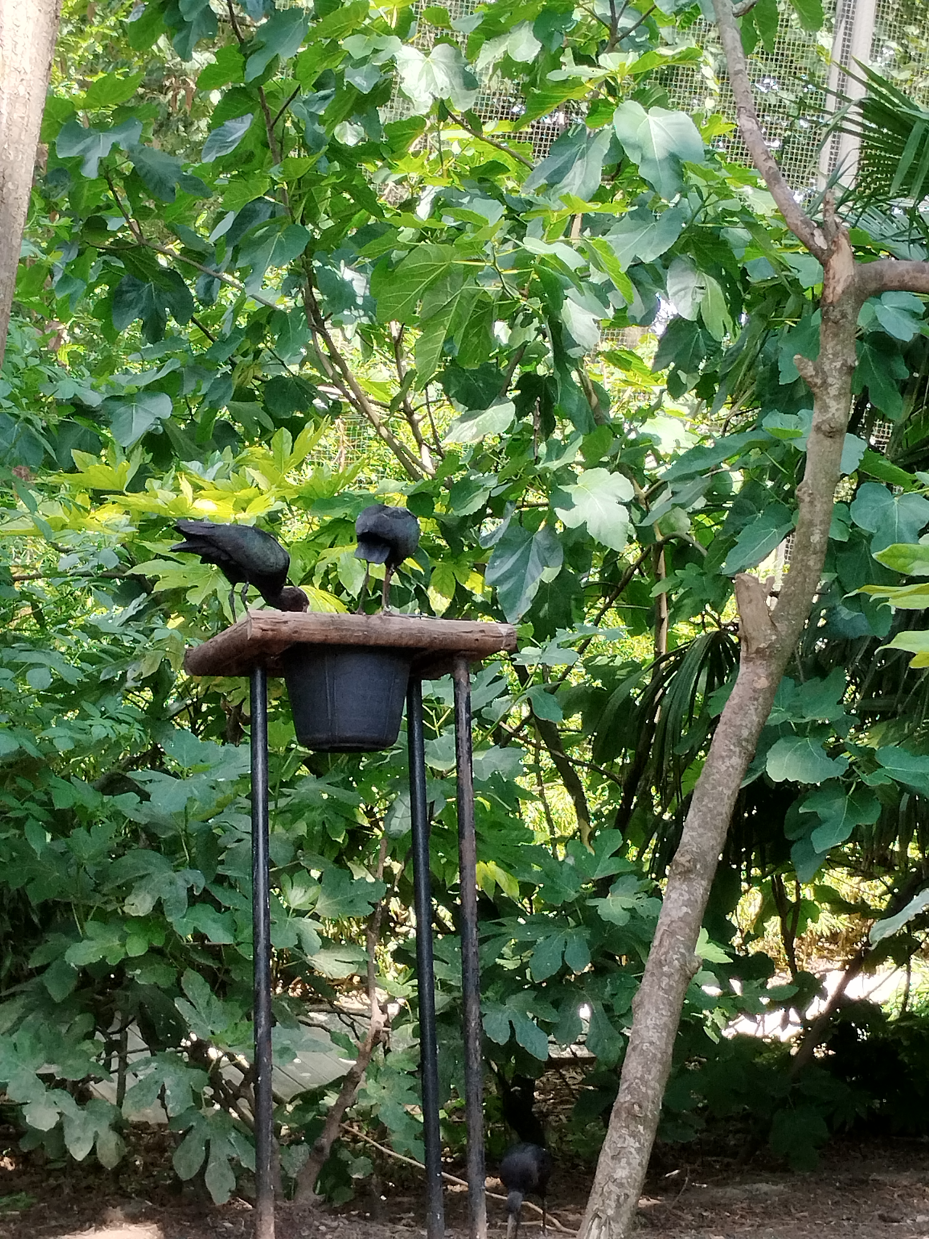 Photo n° 2 de l'avis de Jul.u fait le 07/08/2023 à 06:24