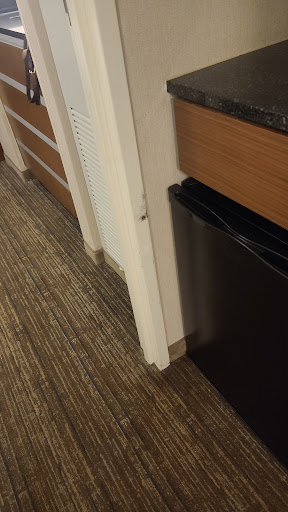 Hotel «Embassy Suites Chicago Downtown Magnificent Mile», reviews and photos, 511 N Columbus Dr, Chicago, IL 60611, USA