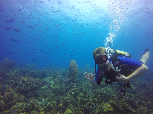 Diving Planet Cartagena - Centro de Buceo