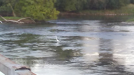 Nature Preserve «Lockport Prairie Nature Preserve», reviews and photos, Broadway St, Lockport, IL 60441, USA