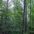 Walker Nature Center Campfire Ring