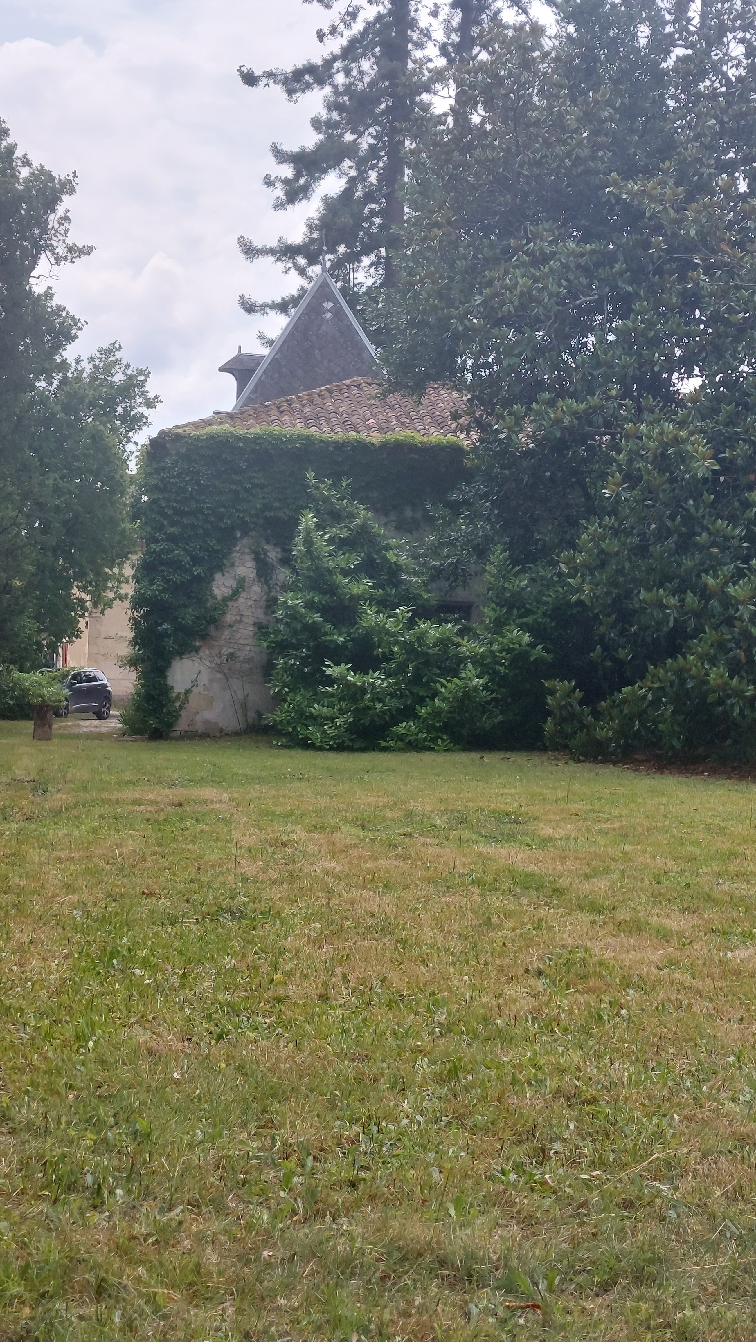 Photo n° 2 de l'avis de Cédric.a fait le 19/06/2023 à 16:00