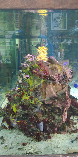 Tattoo Shop «Love Hate Tattoo Studio», reviews and photos, 1360 Washington Ave, Miami Beach, FL 33139, USA