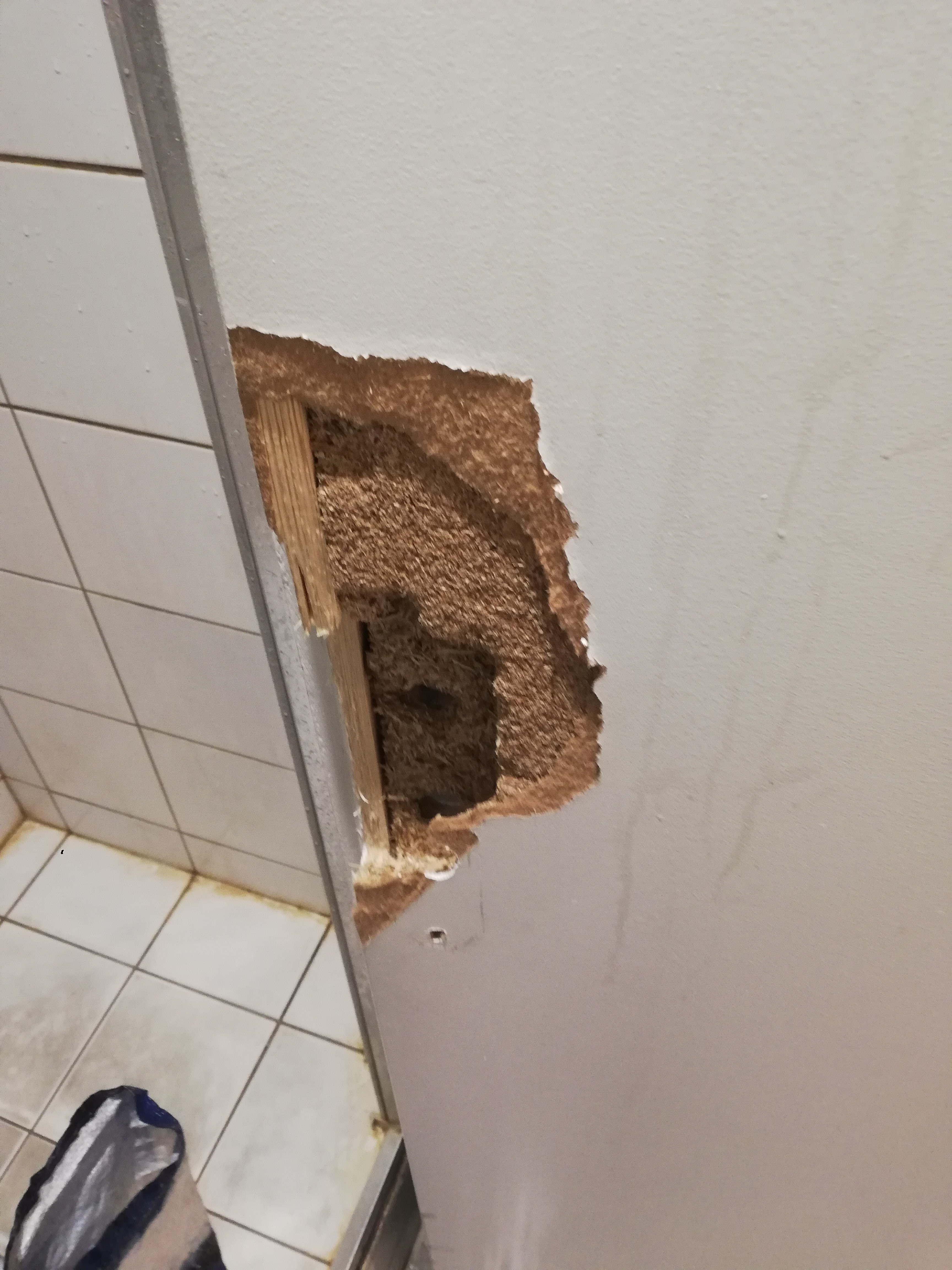 Photo n° 4 de l'avis de ovidiu.u fait le 18/03/2022 à 18:57