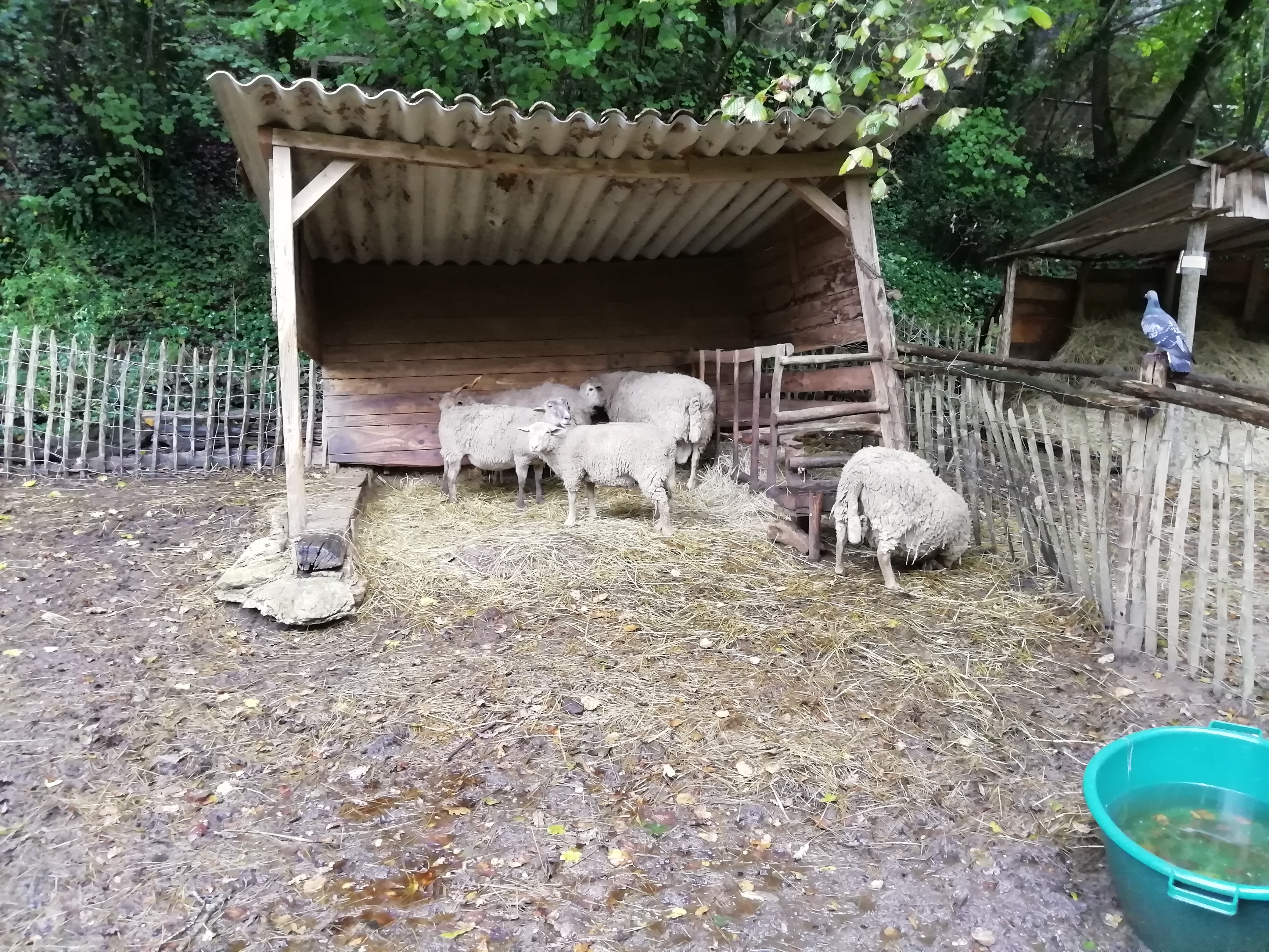 Photo n° 7 de l'avis de Laure.a fait le 17/10/2019 à 21:16