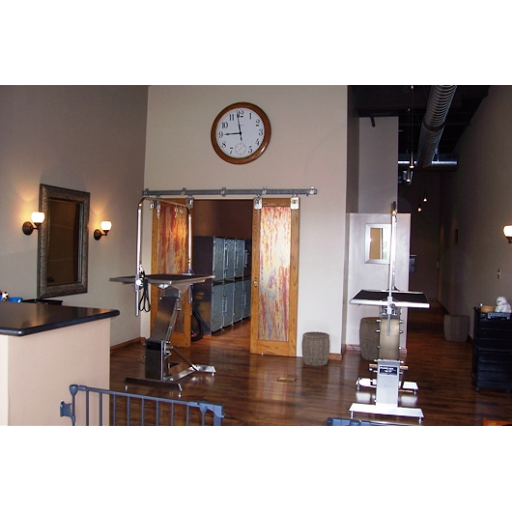 Dog in Suds Grooming Salon