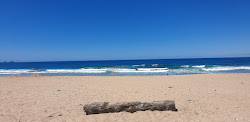Onemana Beach'in fotoğrafı imkanlar alanı