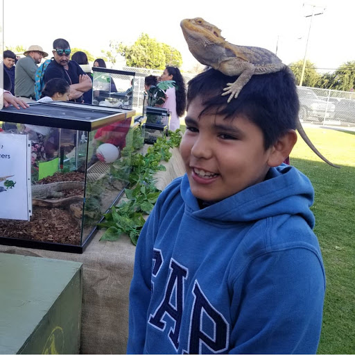 Reptile Store «Paramount Pet Entertainment - Reptile Parties & more!», reviews and photos, 8055 Rosecrans Ave #107, Paramount, CA 90723, USA