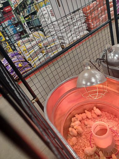 Home Improvement Store «Tractor Supply Co.», reviews and photos, 862 NJ-45, Pilesgrove, NJ 08098, USA