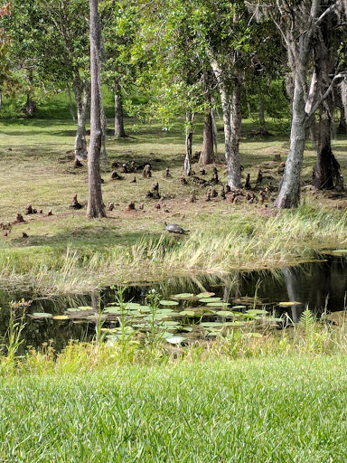 Golf Course «TPC Tampa Bay», reviews and photos, 5300 W Lutz Lake Fern Rd, Lutz, FL 33558, USA