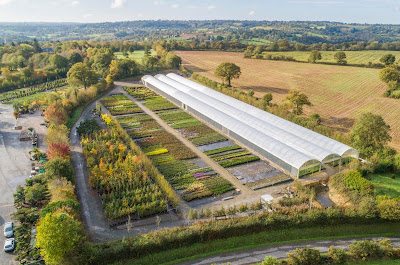 Jardin Services Végétaux à Hambye
