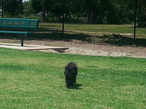 Park «Al Helms Dog Park», reviews and photos, 1022 Balboa Ave, Panama City, FL 32401, USA