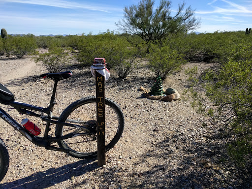 Fantasy Island Trail Head (Mountain biking)