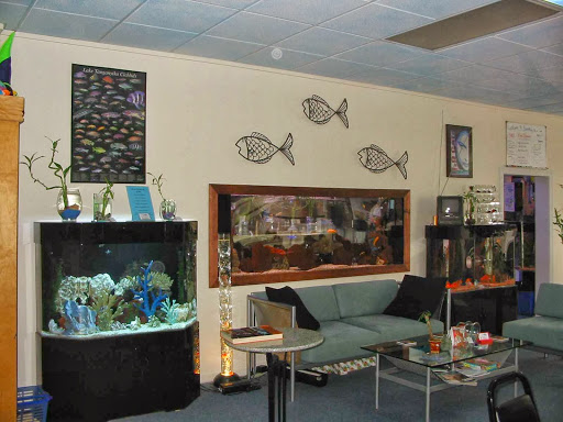Aquarium Shop «Something Fishy Inc.», reviews and photos, 4764 State Rd, Cleveland, OH 44109, USA