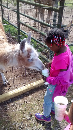 Zoo «Gators and Friends», reviews and photos, 11441 US-80, Greenwood, LA 71033, USA