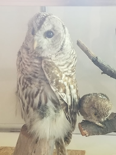 Nature Preserve «Lowry Nature Center», reviews and photos, 7025 Victoria Dr, Victoria, MN 55386, USA