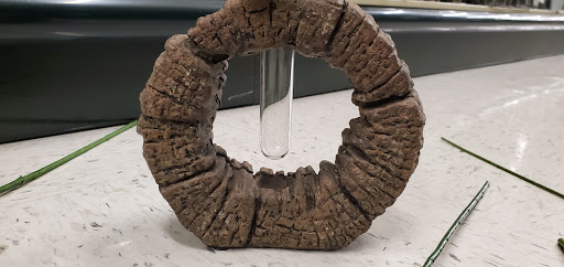 Craft Store «Hobby Lobby», reviews and photos, 606 Holcomb Bridge Rd Suite 140, Roswell, GA 30076, USA