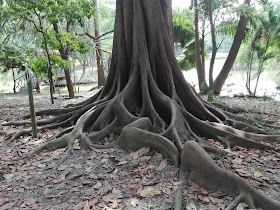 Jardín Botánico de Portoviejo