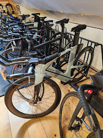 Austin Tri-Cyclist - Photo 3 - Car repair in Austin, TX, Austin