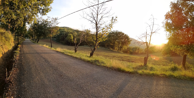 Extérieur Lodge Le Jas Des Cannebieres 04180 Villeneuve