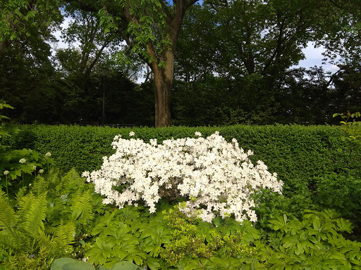 Park «Holcombe Rucker Park», reviews and photos, 280 W 155th St, New York, NY 10039, USA