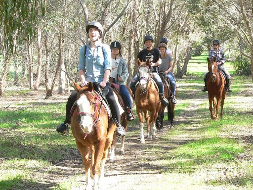 Horse riding in Perth