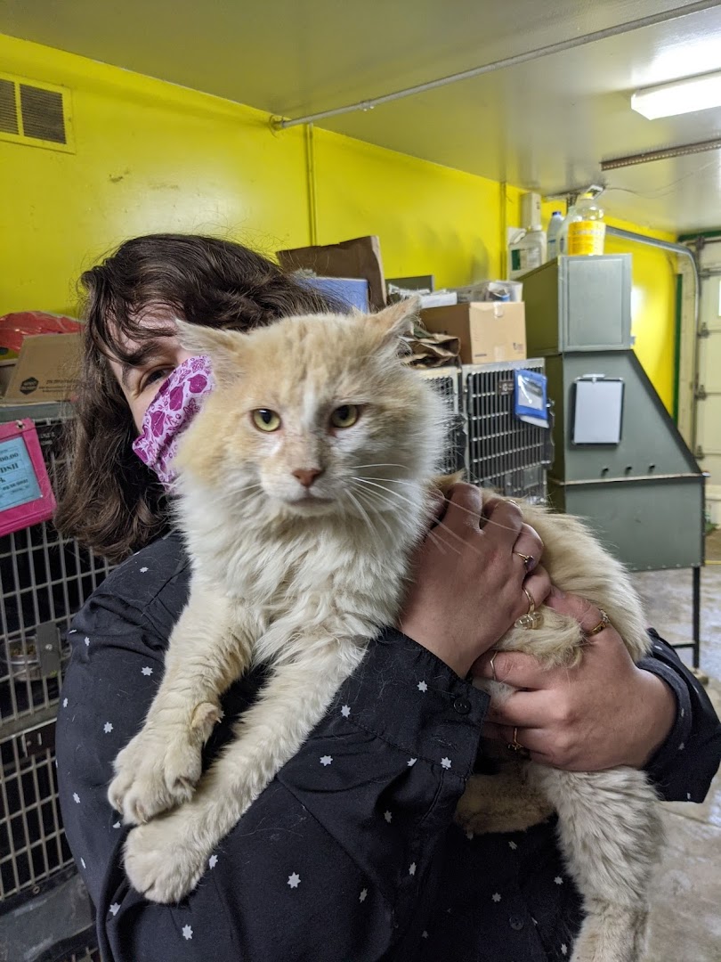 McDonough County Animal Shelter