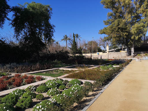 Jardín de la Alameda - Murcia Río