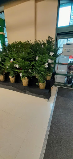 Shopping Mall «Peartree Square Shopping Plaza», reviews and photos, 691 Co Op City Blvd, Bronx, NY 10475, USA