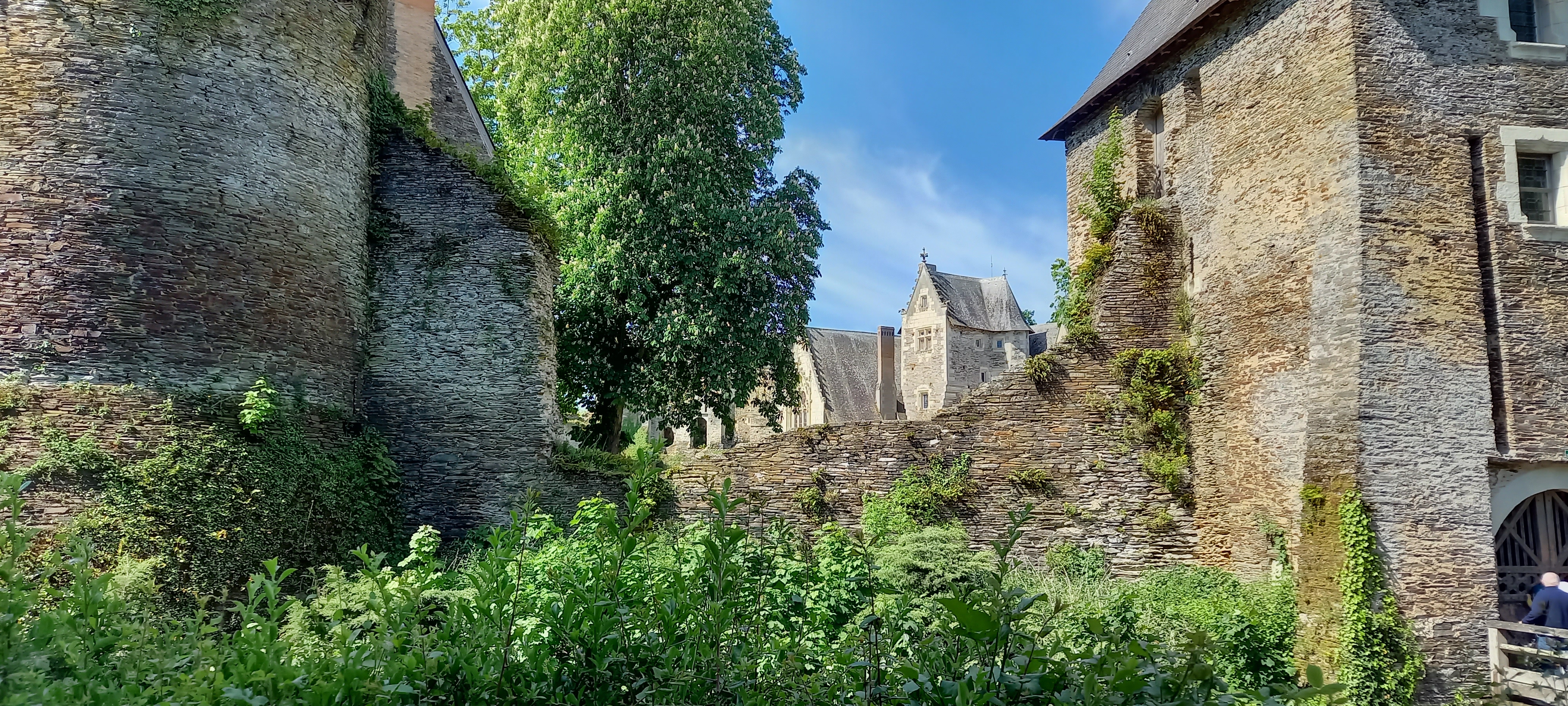 Photo n° 8 de l'avis de Philippe.h fait le 07/05/2022 à 08:38