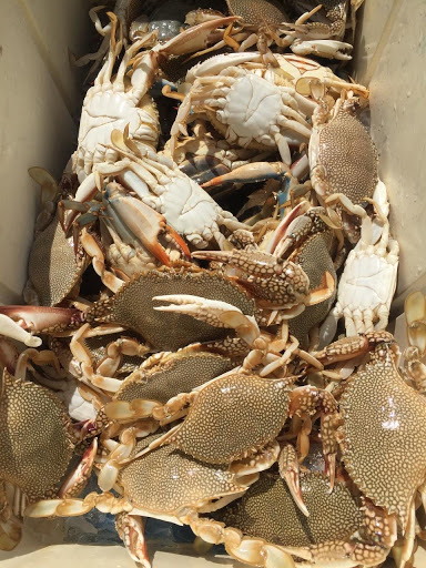 Harley-Davidson Dealer «Harley-Davidson of Pensacola», reviews and photos, 6385 Pensacola Blvd, Pensacola, FL 32505, USA