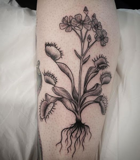 Explore vet tattoo ideas, creative tattoo ideas in Wappingers Falls, available at Graceland Tattoo