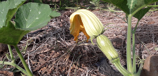 Top 20 cửa hàng thông minh Thị xã Bà Rịa Bà Rịa Vũng Tàu 2022