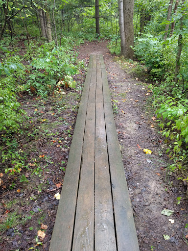 Nature Preserve «Princess Ledges Nature Preserve», reviews and photos, 4361 Spruce Ave, Brunswick, OH 44212, USA