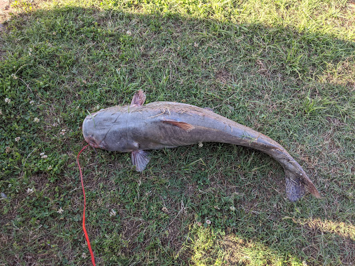 Museum «Lower Mississippi River Museum», reviews and photos, 910 Washington St, Vicksburg, MS 39183, USA