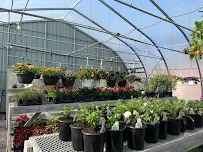 Meyers Nursery - Car repair in Waterloo, IA, Waterloo - Rated 4.4/5