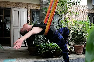 Yoga &Fly in the garden image