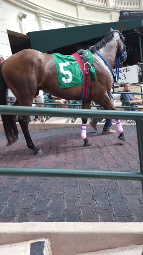 Racecourse «Gulfstream Park Racing and Casino», reviews and photos, 901 S Federal Hwy, Hallandale Beach, FL 33009, USA