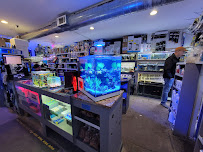 Best Fish - Photo 4 - Car repair in Milwaukee, WI, Milwaukee