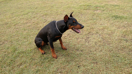 Park «Al Helms Dog Park», reviews and photos, 1022 Balboa Ave, Panama City, FL 32401, USA