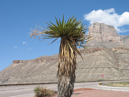 National Park «Guadalupe Mountains National Park», reviews and photos